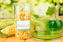 Newmarket biofuel availability